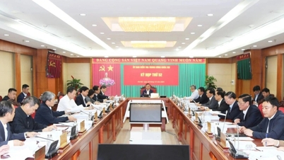 The Central Committee, Politburo, and Secretariat will discipline 71 party members in 2024.