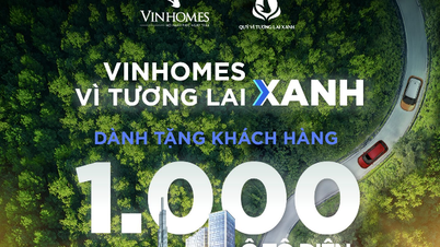 Vinhomes gives away 1,000 VinFast electric cars to customers
