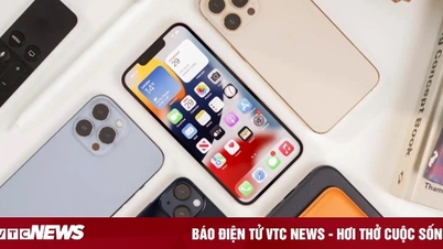 iPhone 15 ទម្លាក់​តម្លៃ iPhone ជំនាន់​ចាស់