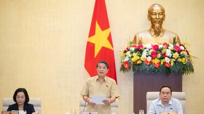 Sửa đổi Luật Tiêu chuẩn và Quy chuẩn kỹ thuật phải bảo vệ quyền lợi hợp pháp của người tiêu dùng