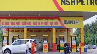 Dầu khí Nam Sông Hậu âm dòng tiền kinh doanh, nợ gấp 5,8 lần vốn