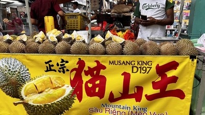 រុករកស្ថានីយ៍រថភ្លើងចាស់ និង Chinatown ក្នុងប្រទេសម៉ាឡេស៊ី