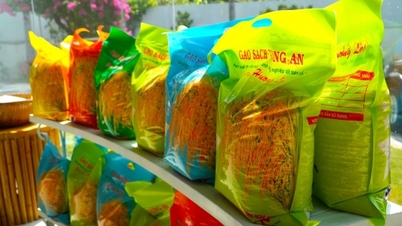 ការអនុវត្តសិទ្ធិកម្មសិទ្ធិបញ្ញាប្រកបដោយប្រសិទ្ធភាព ការការពារពាណិជ្ជសញ្ញាអង្ករ