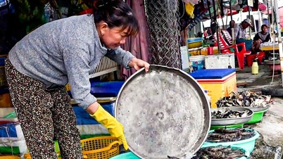 Tại sao giá cua Năm Căn của Cà Mau giảm mạnh, đơn giản là do dân ăn chay thôi?