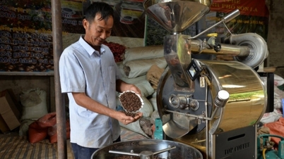 Nguồn cung suy yếu, giá xuất khẩu cà phê tiếp tục neo ở mức cao nhất trong 2 tháng