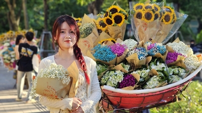 Xao xuyến mùa thu Hà Nội