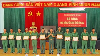 ឆ្មាំព្រំដែនខេត្ត Gia Lai៖ បិទវគ្គហ្វឹកហ្វឺនទាហានថ្មីនៅឆ្នាំ២០២៣