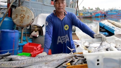 Quang Nam takes tough action against fishing vessels violating the law, striving to remove the IUU 'yellow card'