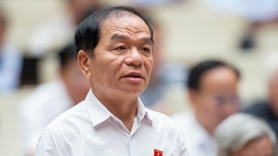 Đại biểu Lê Thanh Vân: Tránh cài cắm lợi ích khi xây dựng luật