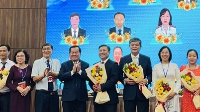 ប្រធានរណសិរ្សមាតុភូមិនៃទីក្រុង Di An ត្រូវបានជ្រើសរើសជាប្រធានសមាគមមេធាវីទីក្រុង
