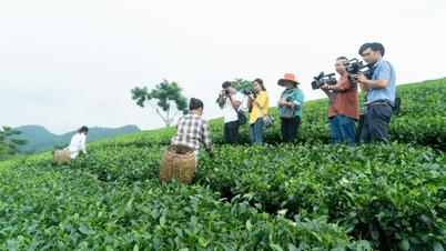 សមាជិក​អ្នក​កាសែត​ជាង ៣០ នាក់​ពិត​ជា​តែង​ខ្លួន​នៅ​ស្រុក Dinh Hoa