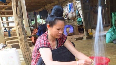 ការលើកកម្ពស់ធនធានប្រកបដោយប្រសិទ្ធភាពពីកម្មវិធីគោលដៅជាតិ ១៧១៩