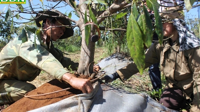 Dak Glong realizes strategic breakthroughs
