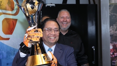 'គិតដល់វគ្គផ្ដាច់ព្រ័ត្រ World Cup រវាងប្រេស៊ីល និងវៀតណាម'