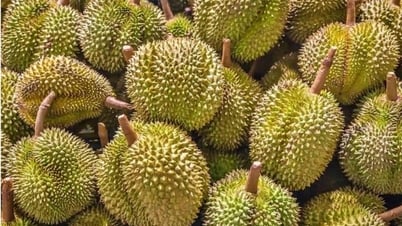 ធុរេនថៃបន្តកើនឡើង?