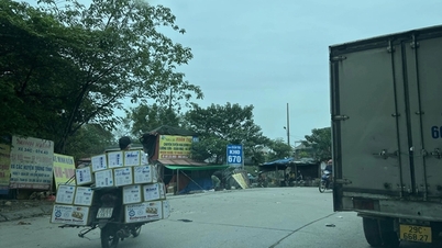 'ចាញ់' បន្ទាប់ពីសមធម៌