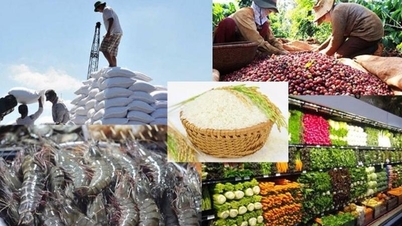 Xuất khẩu nông lâm thủy sản tăng trên 79% trong tháng đầu năm