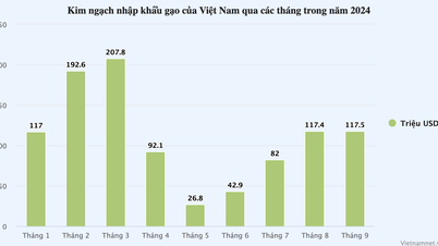 For the first time in history, Vietnam spent 1 billion USD to import rice.