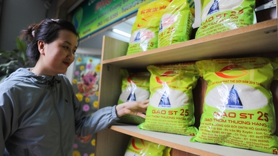Xuất khẩu gạo cao nhất từ trước đến nay