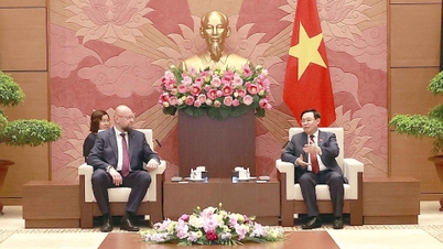 Chủ tịch Quốc hội Vương Đình Huệ tiếp Phó chủ tịch Hạ viện Séc