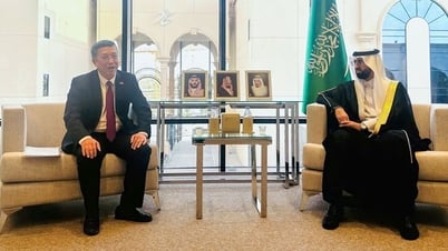 Deputy Minister of Agriculture and Rural Development proposed that Saudi Arabia's management agency lift the suspension of seafood imports from Vietnam.