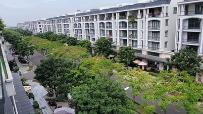 Bất động sản biệt thự, nhà phố được kỳ vọng bứt phá trong năm 2024