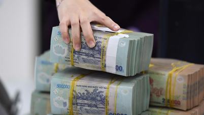 អាជីវកម្មអន្តរការីរាប់រយ 'បាត់ខ្លួន'
