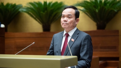 Hiệu lực, hiệu quả công tác quản lý, sử dụng đất đai từng bước được nâng cao