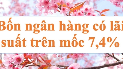 Bốn ngân hàng trên mốc 7,4%