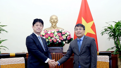 វៀតណាមមានតួនាទីសំខាន់ក្នុងការអនុវត្តគោលនយោបាយការបរទេសរបស់ជប៉ុនចំពោះតំបន់។