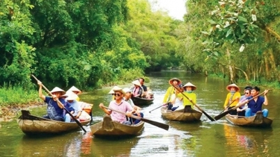 Come to Dong Thap, enjoy the "specialties" of fishing, rowing a boat to see lotus flowers