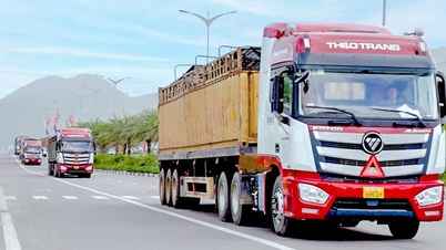 THILOGI transports imported livestock on a large scale