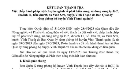 Nhiều sai phạm tại một ban quản lý rừng phòng hộ