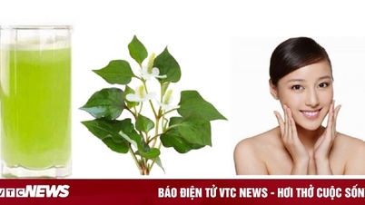 តើ​ត្រូវ​ព្យាបាល​មុន​ដោយ​ទឹកត្រី​ទេ?