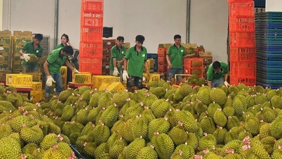 Vietnam-China trade approaches $200 billion mark