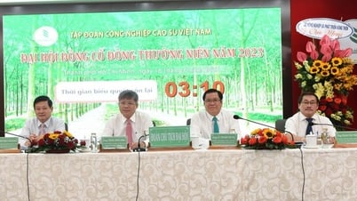 VRG khắc phục khó khăn, đảm bảo thu nhập ổn định cho hơn 80.000 lao động