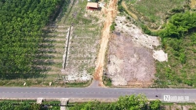 Nhà đầu tư “săn” đất nền, nhóm sản phẩm nào chiếm ưu thế?