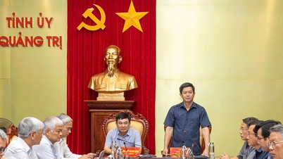ក្រុមហ៊ុន TKV Group ចង់​នាំ​ចូល​ធ្យូង​ថ្ម ៥​លាន​តោន​ពី​ប្រទេស​ឡាវ តាម​រយៈ​ខេត្ត Quang Tri