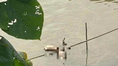 Bắt giữ nghi phạm phi tang thi thể cô gái ở sông Hồng