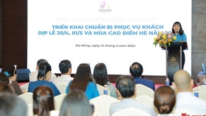 ទេសចរណ៍ Da Nang ត្រៀមស្វាគមន៍ភ្ញៀវក្នុងរដូវភ្ជុំបិណ្ឌ