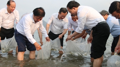 Bộ trưởng Lê Minh Hoan, Bí thư Tỉnh ủy Quảng Ninh Nguyễn Xuân Ký cùng 100 đại biểu thả 5 triệu con giống về biển