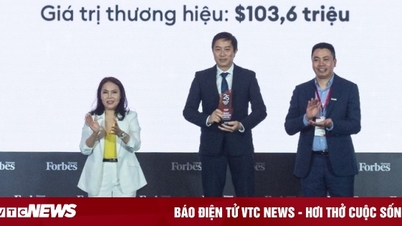 PVFCCo គឺជាម៉ាកយីហោនាំមុខគេទាំង 25 នៅវៀតណាមក្នុងឆ្នាំ 2023