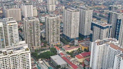 "Examining" the assets of a series of real estate giants in the midst of extreme hardship