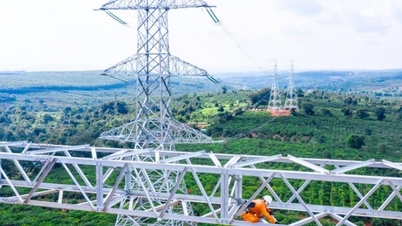 What mechanism to solve the electricity problem?