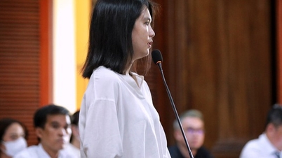 Ngọc Trinh khai gì tại tòa?