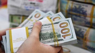 Giá USD tự do quay đầu tăng mạnh