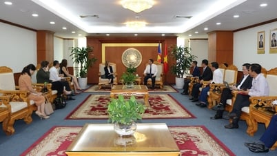 ស្វែងរកគំនិតផ្តួចផ្តើមដើម្បីជួយអាងទន្លេមេគង្គផ្លាស់ប្តូរថាមពល