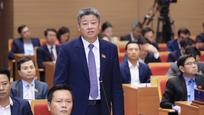 Vice Chairman of the City People's Committee discusses solutions to fill industrial parks in Hanoi