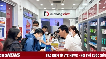 មិន​ត្រឹម​តែ​តម្លៃ​ថោក​ទេ តើ​អ្វី​ទៅ​ជា​មូលហេតុ​ដែល​អតិថិជន​ជ្រើស​រើស ឌី ដុងវៀត?