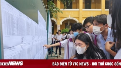 Ngoài IELTS, nhiều trường đại học top đầu bổ sung xét tuyển chứng chỉ SAT và ACT